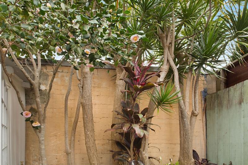 Paddington Garden Cottage With Fast Wifi Sídney Exterior foto
